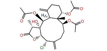 Robustolide A